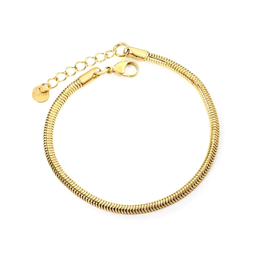 Adult Snake Bone Chain Gold-Plated  Bracelet